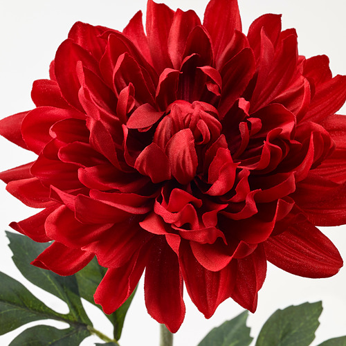 Smycka Artificial Flower Dahlia Red Ikea Hong Kong And Macau