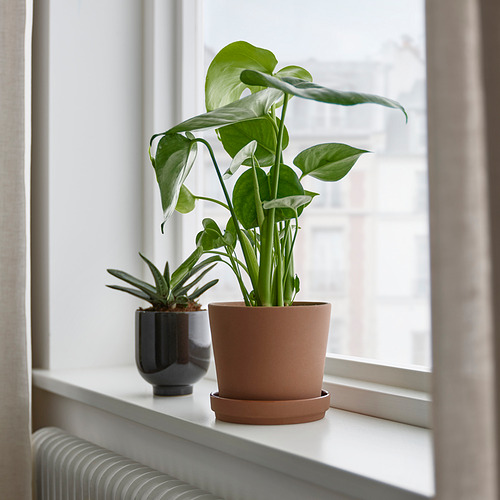 KLARBÄR plant pot with saucer