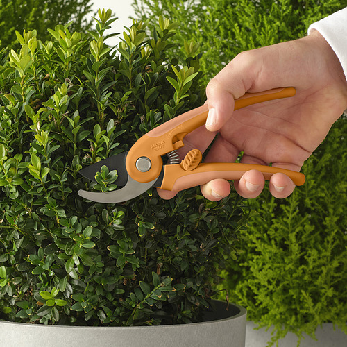 BRYTBÖNA secateurs