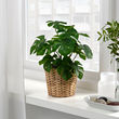 FEJKA Artificial potted plant, indoor/outdoor fern - IKEA