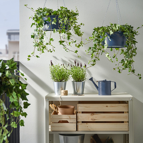 ÅKERBÄR hanging planter