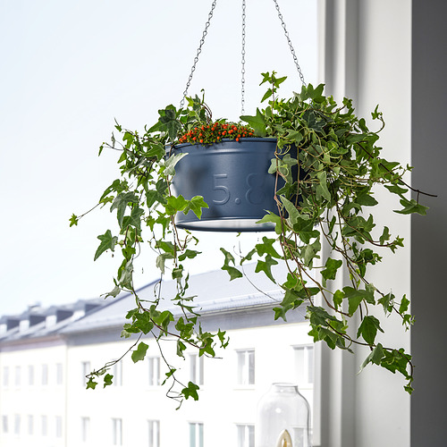 ÅKERBÄR hanging planter