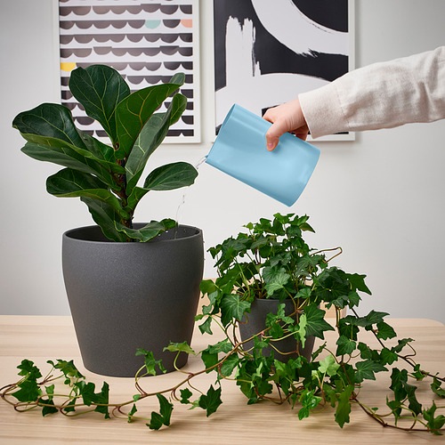 CHILIFRUKT vase/watering can