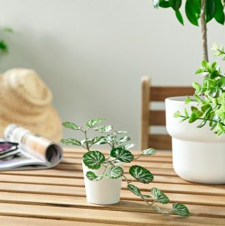 人造植物 人造盆栽 Ikea